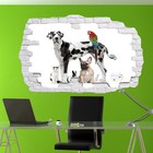 Pets Shop Dogs Cats Birds Wall Stickers Murals Decal 3D Art Room Shop Decor SN5