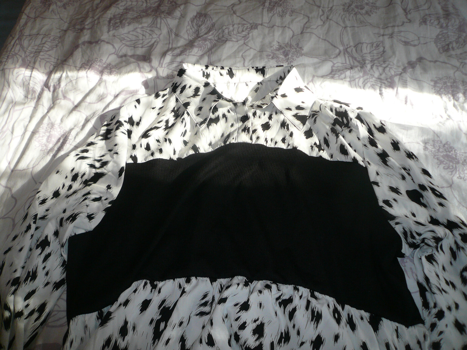 Bild 5 von 6