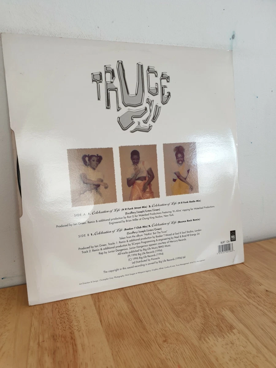 Truce Celebration Of Life 12 Inch Vinyl Record | eBay