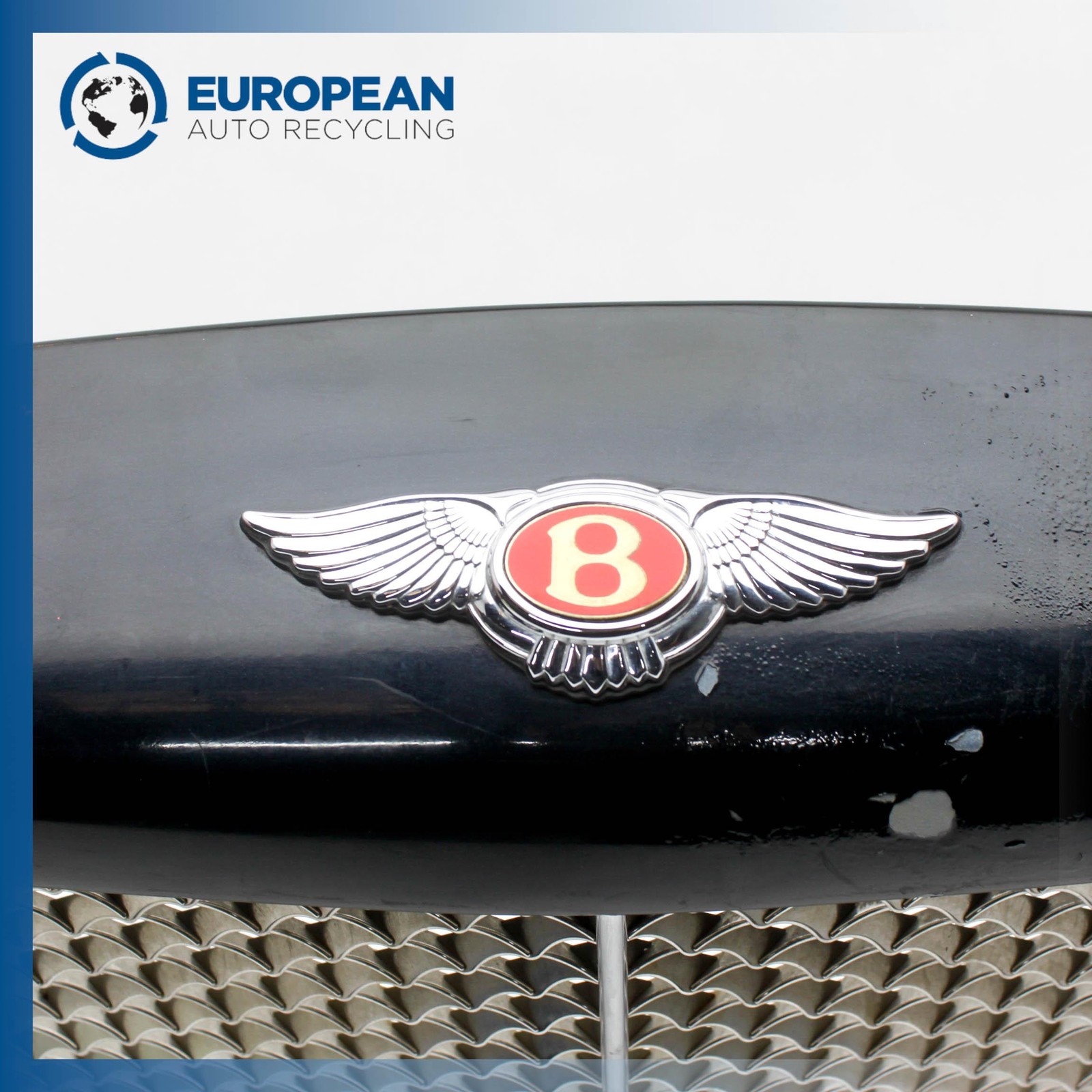 2000 BENTLEY ARNAGE Front Upper Grille - CHROME OEM
