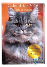 CHATS ET CHATONS CALENDRIER   23 12  2025
