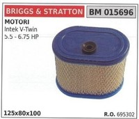 Luftfilter Briggs&Stratton RasenmäHer MäHer SchnittmäHer Intek Els V Twin