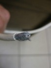Picture 2 of 3
