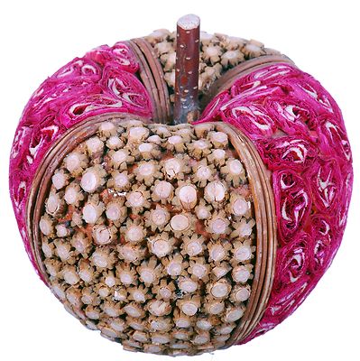 Wood Slice Mosaic Apple Natural Country Fruit Craft Floral Decor Filler 523f