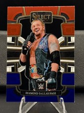 2024 Panini Select WWE - Diamond Dallas Page, #89 - Concourse, Base