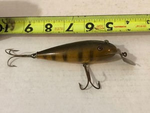 Creek chub Fintail Shiner | eBay
