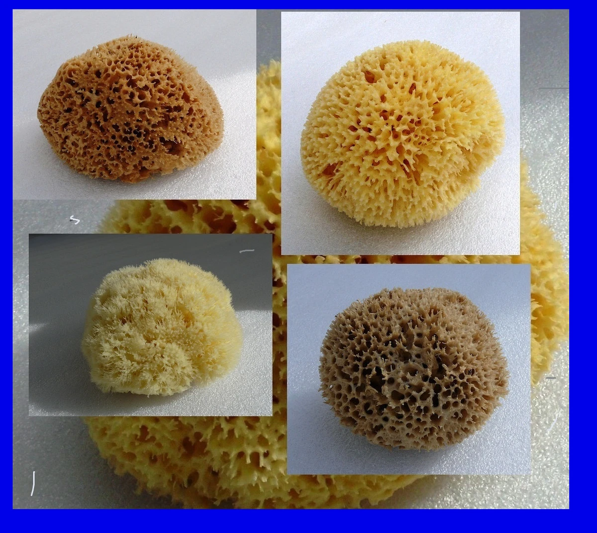 Multi-purpose Greek Sponge For Gentle Bathing And Cleaning Natural Sea  Sponges For Bathing