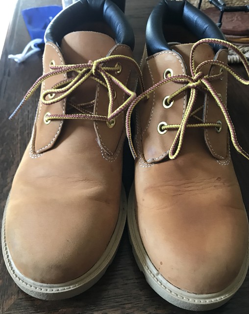 champion timberland wheat