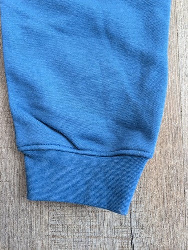 Nike Jordan True Blue Essential Fleece Jogger (DQ7340-485) Men's Large L - NWT - Picture 9 of 16