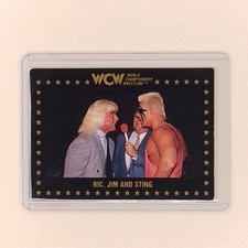 1991 Championship Wrestling WCW - Ric Flair, Sting, Jim Ross #66 (RC) Card