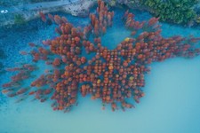 Landscape nature china aerial view trees water fall Custom Gaming Mat Desk