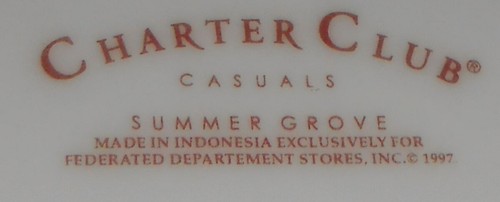 Set (4) Charter Club Casuals SUMMER GROVE PATTERN ciotole per zuppa e pasta bordate - Foto 7 di 9
