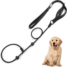 1 Pcs Slip Lead for Dogs Leash with Comfy Handle Adjustable Collar Thin Dog Lea