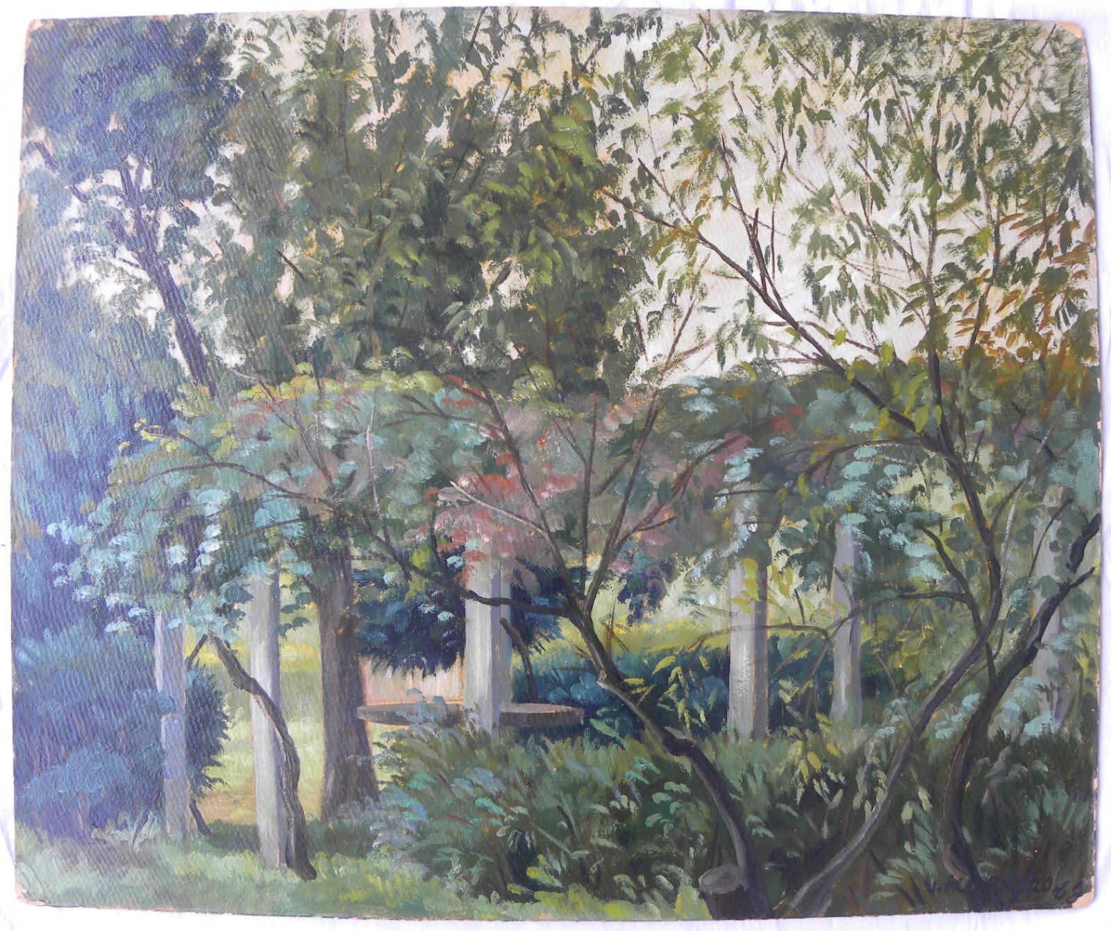 Foto 1 di 17
