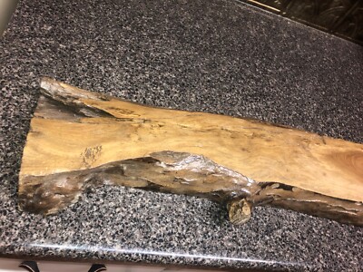 live edge black walnut slab