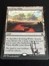 1x Evolving Wilds AUTO - Tarkir Dragonfury Promos (TDP)  Magic the Gathering MTG