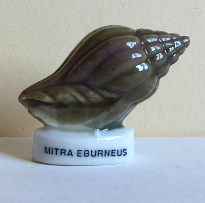 Fève Les Coquillages - 1999 - Mitra Eburneus