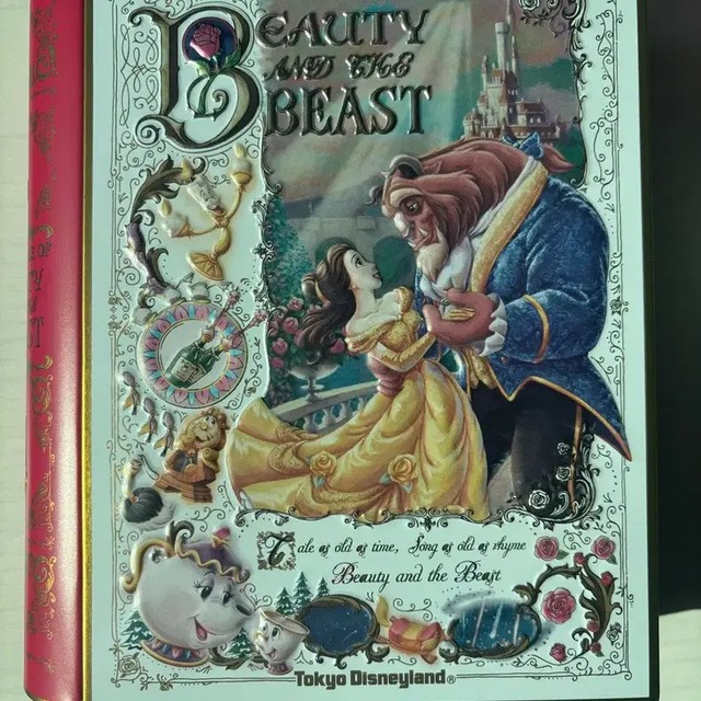 Tokyo Disney Resort Beauty and the Beast Tin Case Collectible