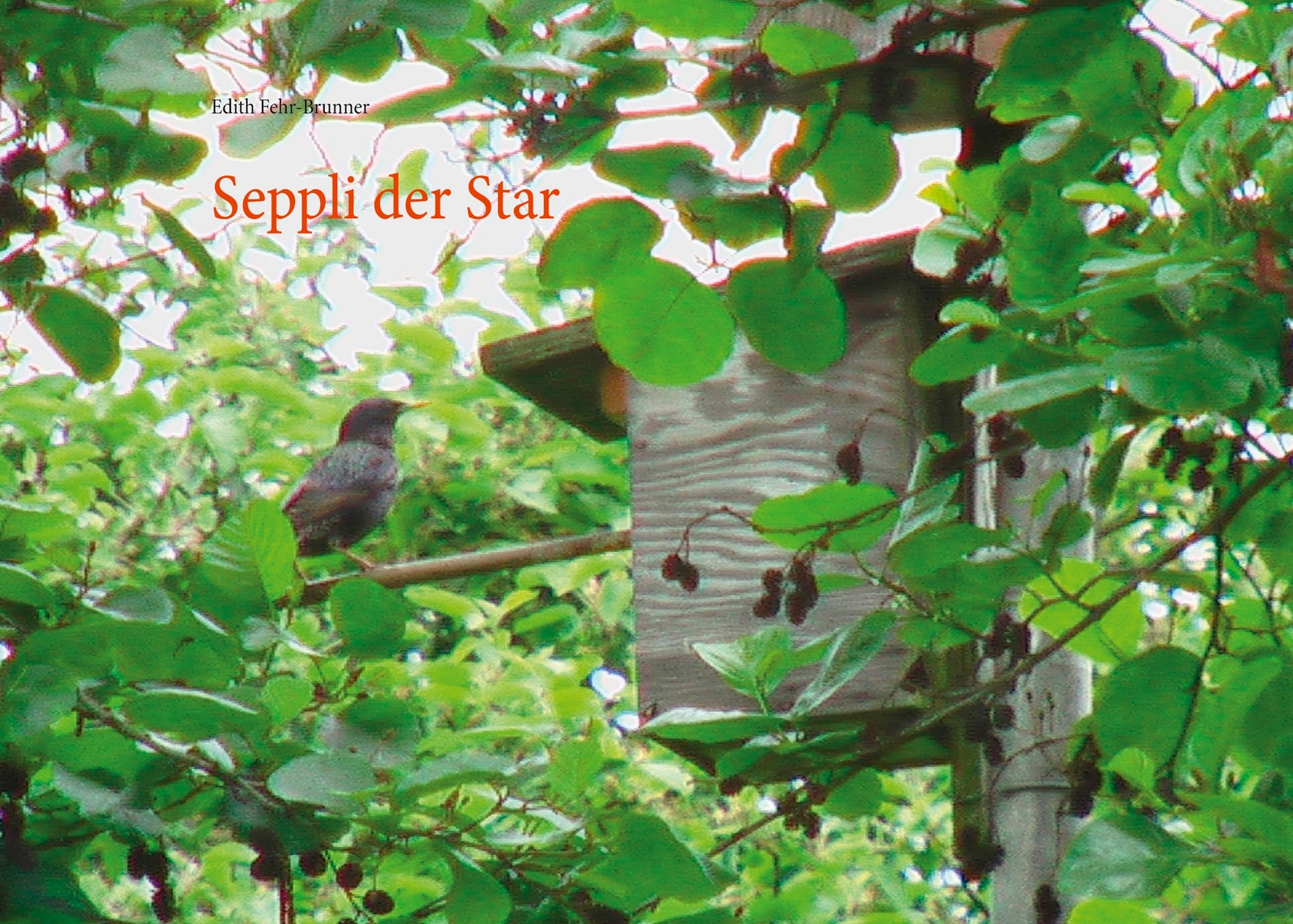 Thumbnail - Seppli Der Star (buch)