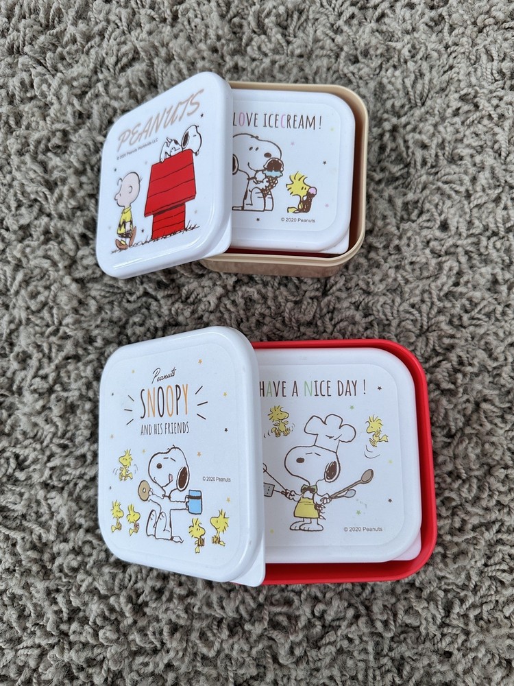 Snoopy Bento Box Plastic Vintage Retro Collectible