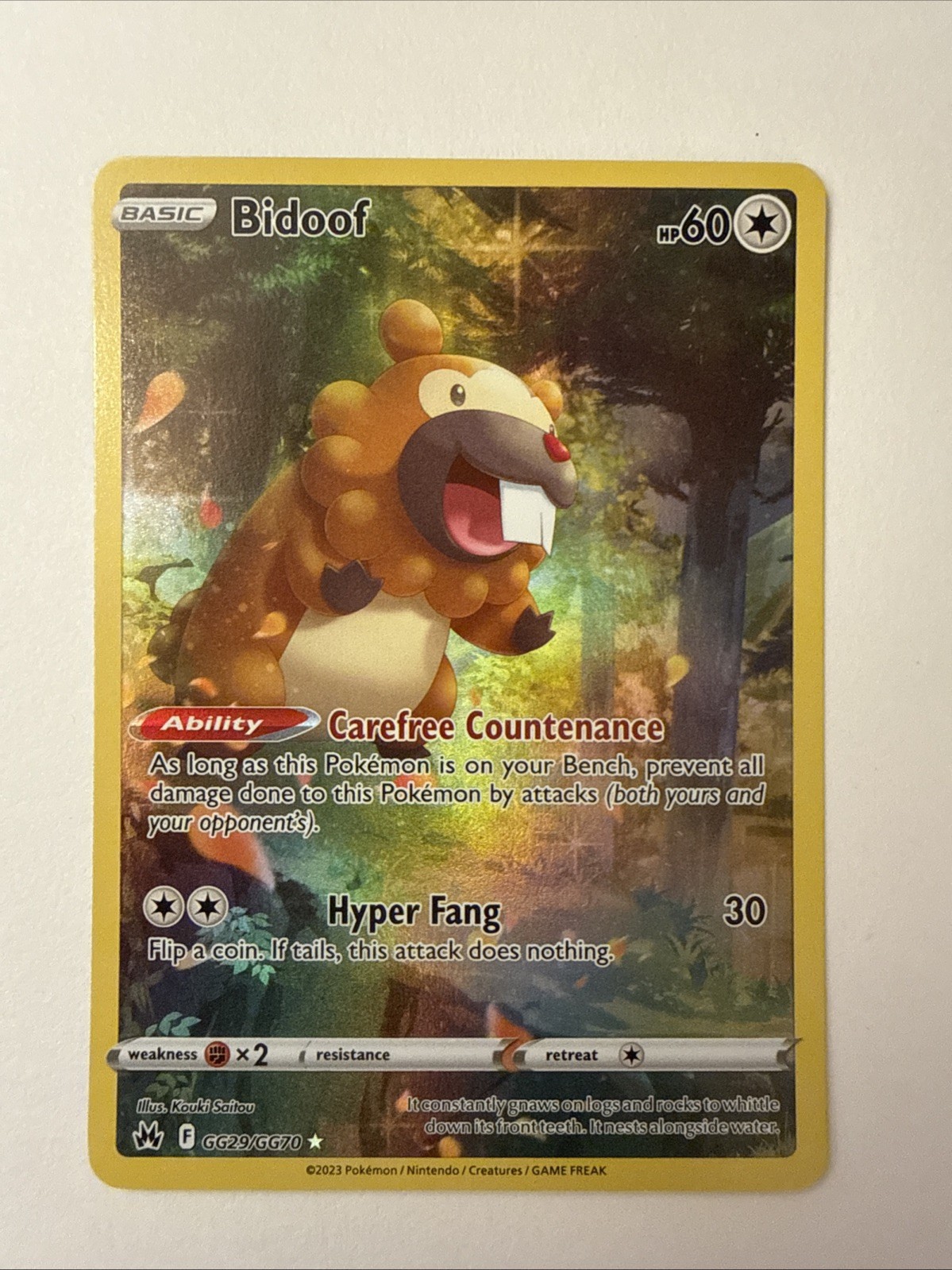 Bidoof GG29/GG70 Full Art 2023 Pokemon Crown Zenith Galarian Gallery Card NM