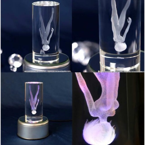 Evangelion STORE EVA limited Original Memorial Crystal Rei Ayanami RARE