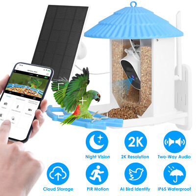 Smart Bird Feeder Motion Detection Bird Watching Camera Auto Capture Bird Videos