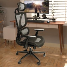 Ergonomic Mesh Swivel Task Chair Adjustable Office Chair with Breathable Mesh