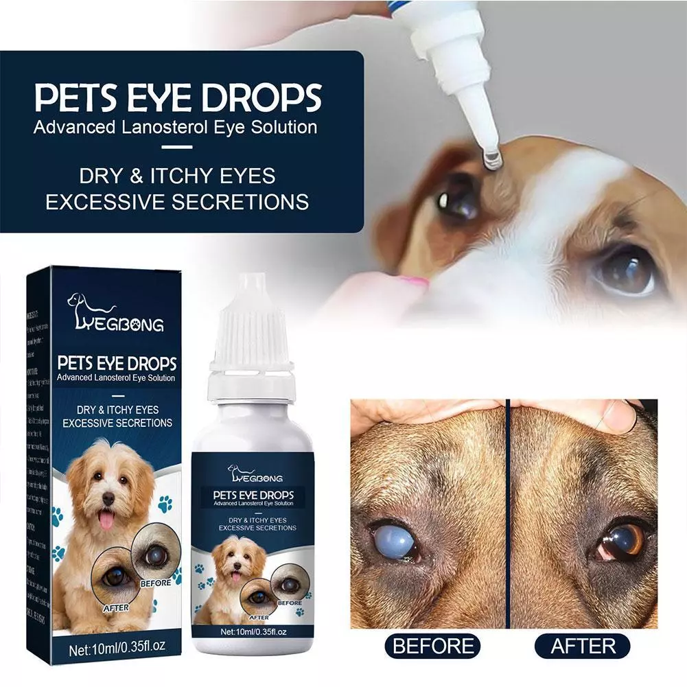 1x Pet Eye Drops For Dogs Cats Lanosterol Solution Improve Eye Health 2024 New eBay