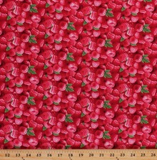 Cotton Raspberries Raspberry Fruit Food Berries Cotton Fabric Print BTY D682.47