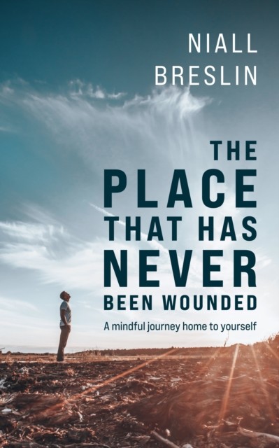 The Place That Has Never Been Wounded by Niall Breslin (Paperback Book)