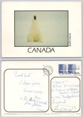 x03110 Eisbär Baffin Island Nunavut Kanada Postkarte 1988 Briefmarke