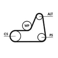 Keilrippenriemen 24438674 für Mazda 2 DY