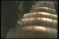 157027 Oak Aging Barrels A4 Photo Print