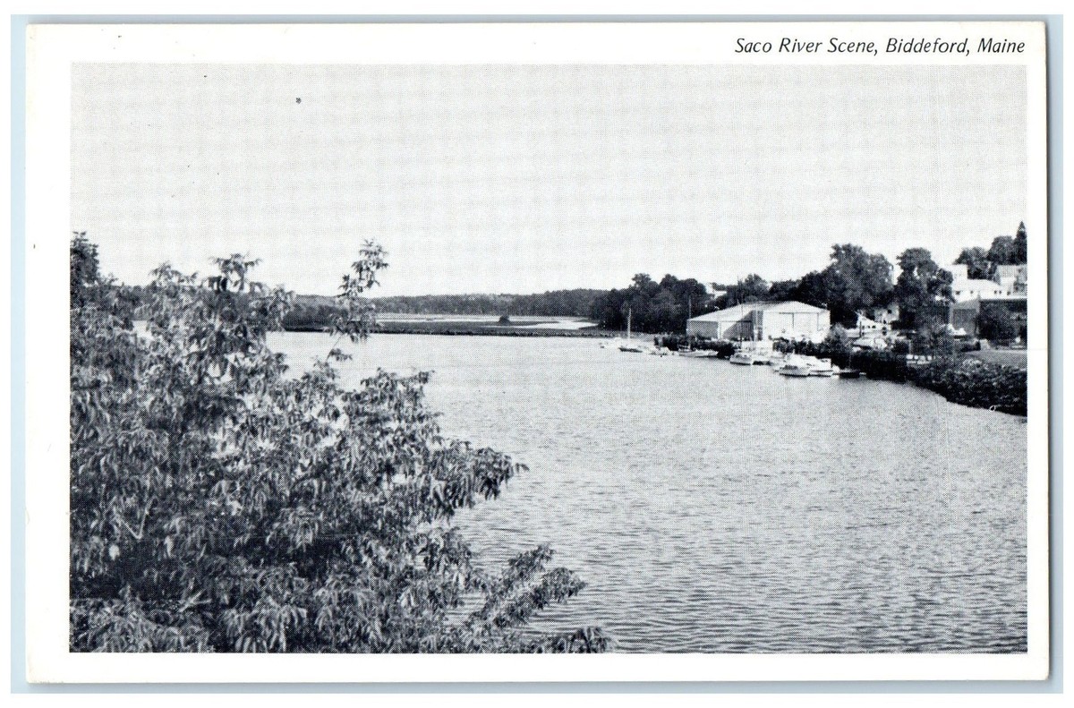 c1960s Saco River Boats Trees Scene Biddeford Maine ME Unposted