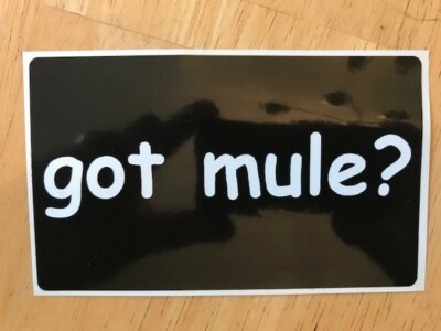      Govt Mule GOT MULE? Vinyl Sticker Haynes Woody Abts   5'' x 3''      