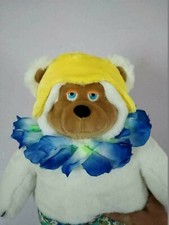 Beach Bear 16 Budsie Plush Doll * Rock-afire ...