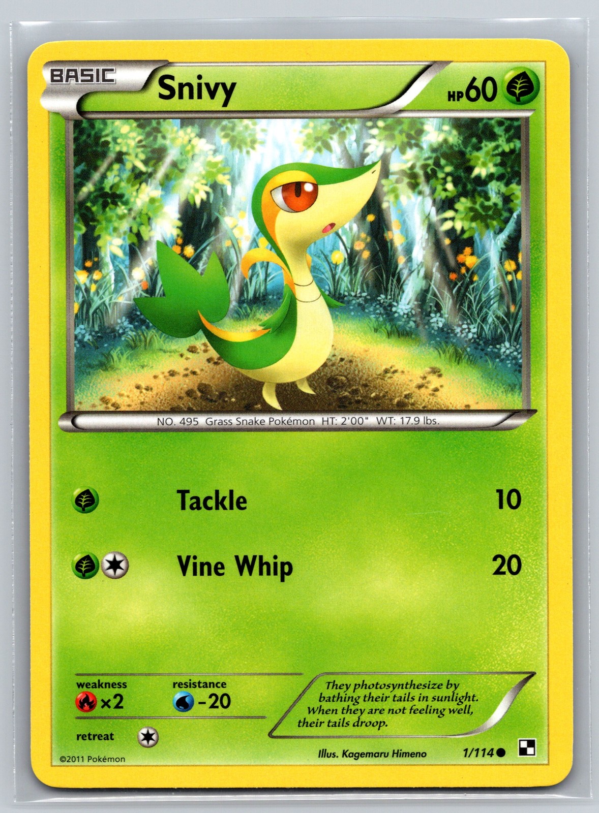 Snivy 1/114 Black and White Grass-Type Snake Basic 60 HP Pokemon TCG 2011