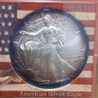 U.S. Mint 2003 American Silver Eagle Business Strike 1 oz Silver. Toned!