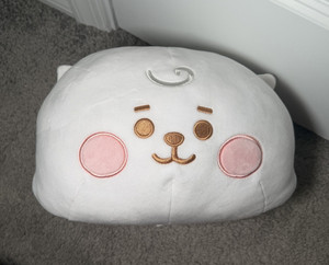 Bt21 Rj Pillow | eBay