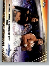 2019 Topps WWE SummerSlam Wrestling Base Singles (Pick Your Cards)