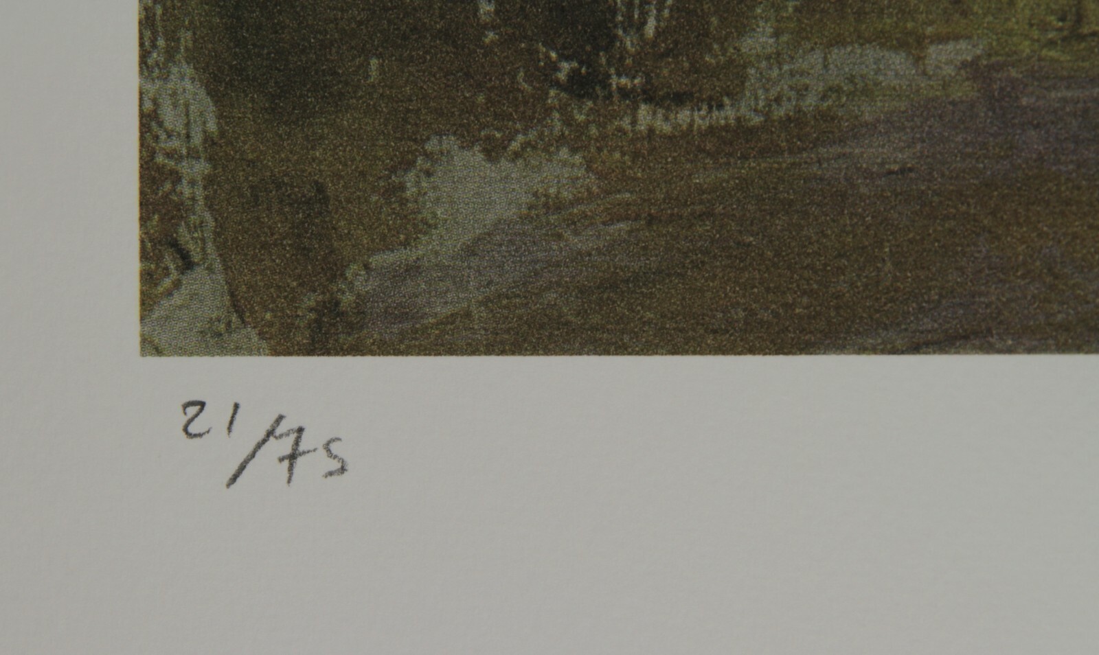 Picture 3 of 5