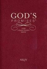 God's Promises for Your Every Need, NKJV - Paperback By Countryman, Jack - GOOD