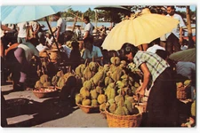 Durian Fruit at the Market, Nonburi, Thailand Postcard VTG ME9.