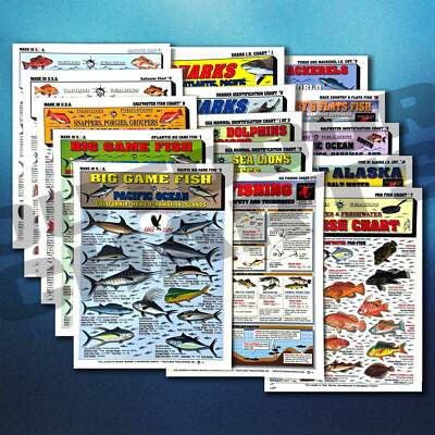 Fishermen's Saltwater Fish Identification Set - Waterproof Quick Reference Guide