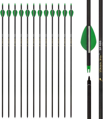 Zhao.Fu 29 Inch Carbon Arrow Practice Hunting Arrows Spine 400 with Removable Ti