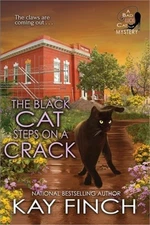 The Black Cat Steps on a Crack (Paperback or Softback)