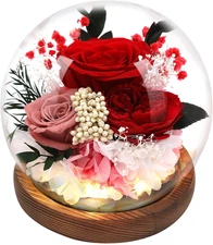 Preserved Flowers,Rose in Glass Dome with LED Light, Gifts for Her, Women, Mom,G