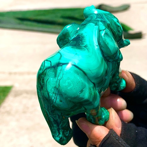 444G Natural glossy Malachite Crystal Handcarved elephant mineral sample - 第 5/20 張圖片