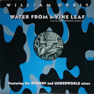 William Orbit - Water From A Vine Leaf 12'' Vinyl Electronic 272